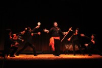 Photo - Vol.1(33)